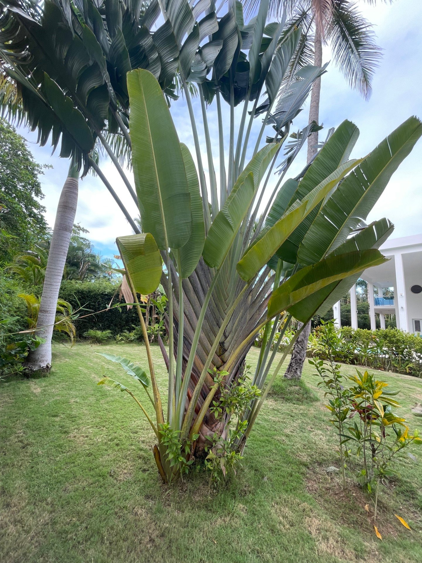 villa playa bonita beach