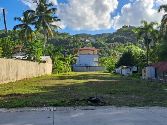 Prime land just 100m from Playa Cosón, Las Terrenas. Ready-to-build lot in a peaceful, high-value area near the beach. Perfect for your dream villa or investment.