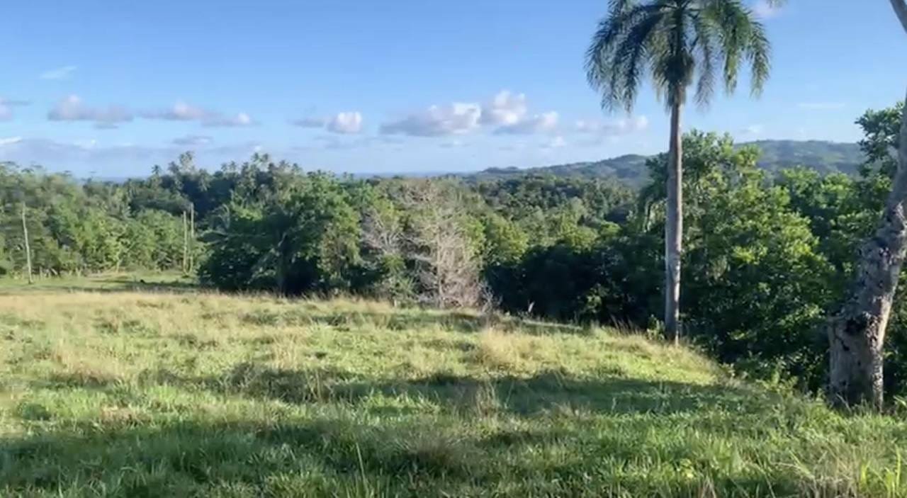 Prime 14.8-Ha Organic Farm with Water Source